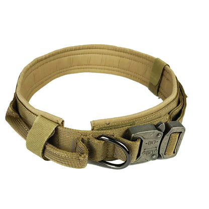 Durable Nylon Dog Training Collar with Cobra Buckle