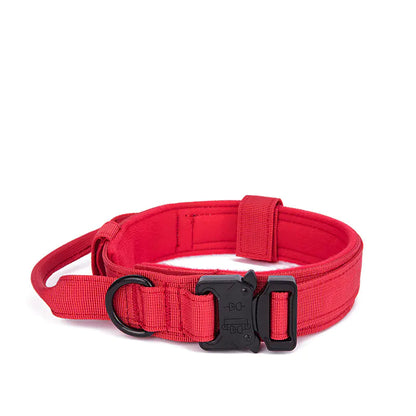 Adjustable Quick Release Training Collar for Pets