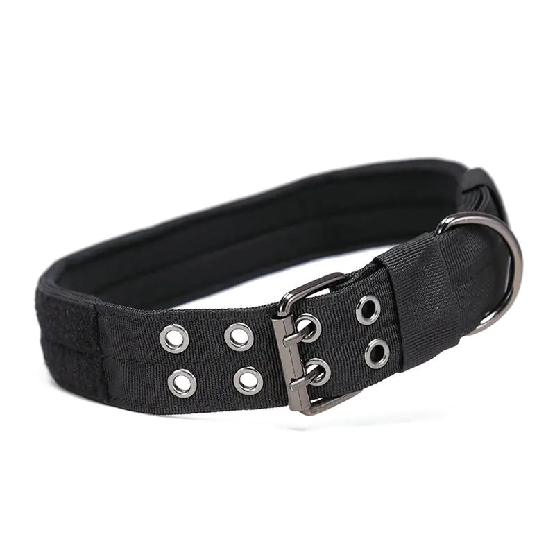 Large Nylon Dog Collar for Training and Tactical Use