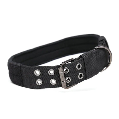 Large Nylon Dog Collar for Training and Tactical Use