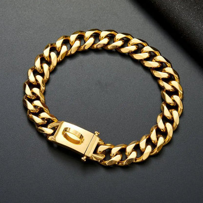 Stainless Steel Anti-Bite Dog Collar and Leash Set