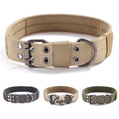 Large Nylon Dog Collar for Training and Tactical Use