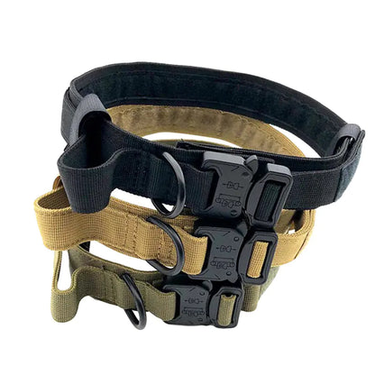 Durable Nylon Dog Training Collar with Cobra Buckle