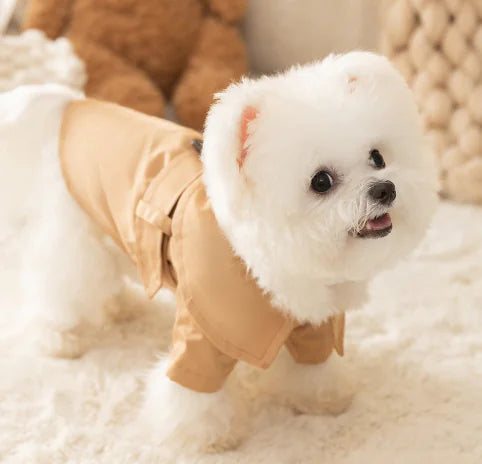 British Trench Coat for Dogs - Summer Pet Apparel