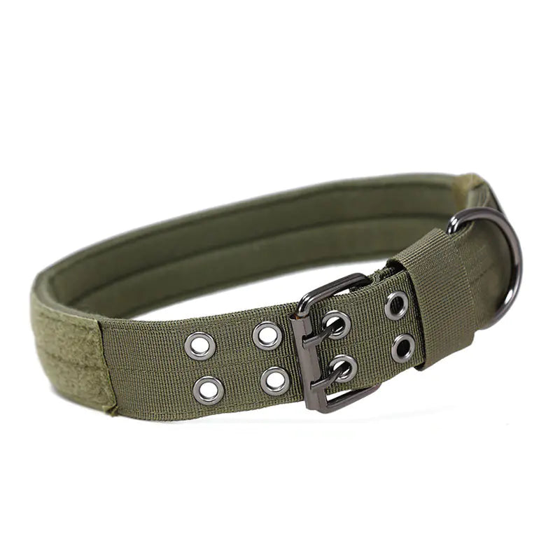 Large Nylon Dog Collar for Training and Tactical Use