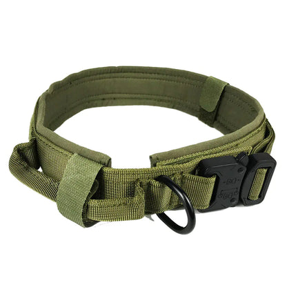 Durable Nylon Dog Training Collar with Cobra Buckle