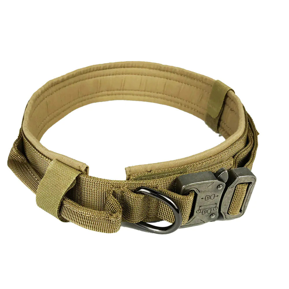 Durable Nylon Dog Training Collar with Cobra Buckle