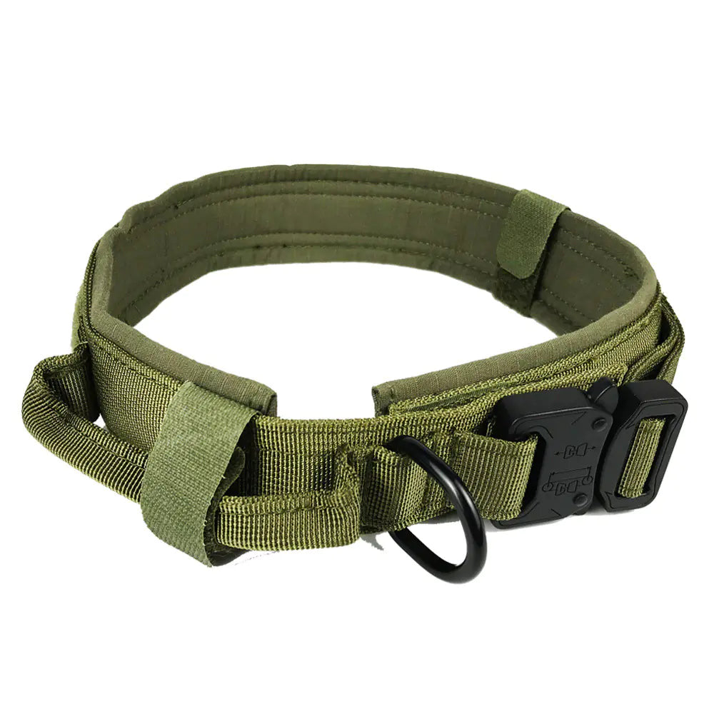Durable Nylon Dog Training Collar with Cobra Buckle