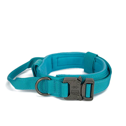 Adjustable Quick Release Training Collar for Pets