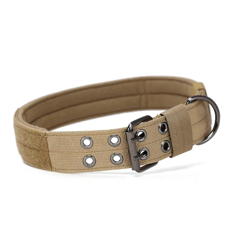 Large Nylon Dog Collar for Training and Tactical Use