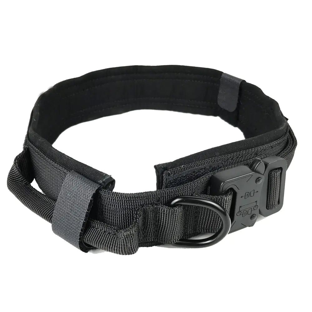 Durable Nylon Dog Training Collar with Cobra Buckle