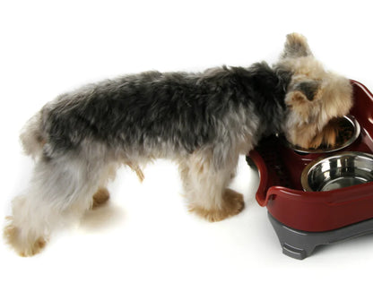 Stainless Steel Pet Dog and Cat Feeding Bowl Set
