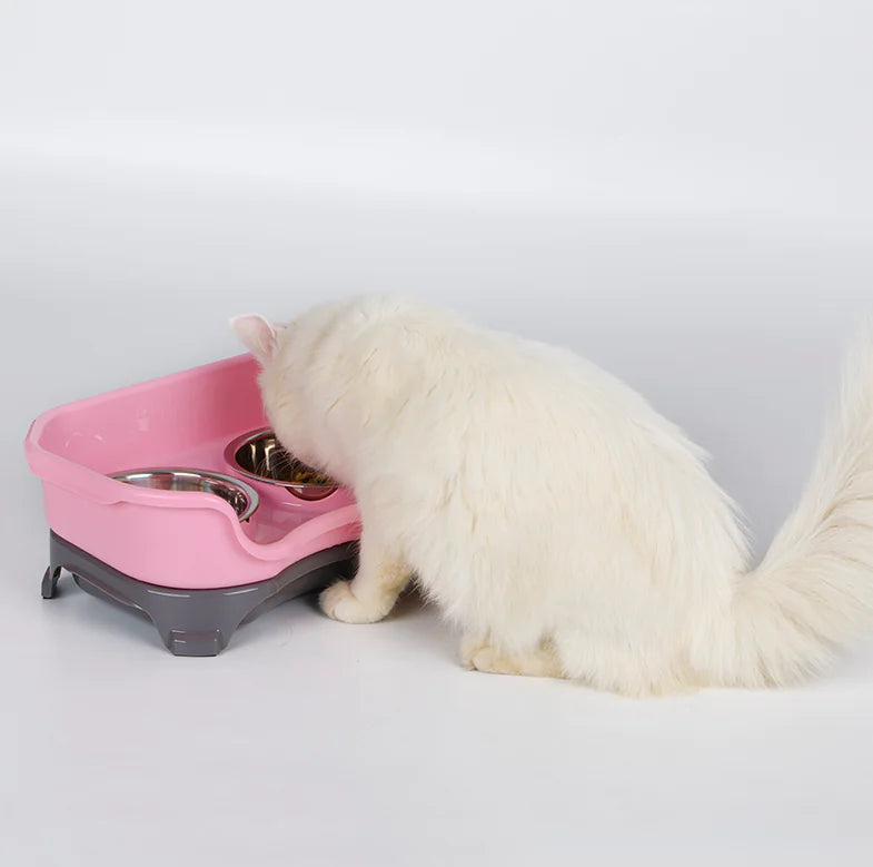 Stainless Steel Pet Dog and Cat Feeding Bowl Set